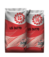 lg-36770